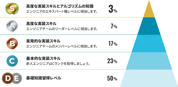 paizaスキルチェックのランクごとのレベル感の画像
